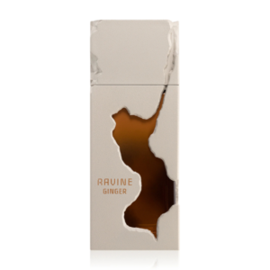 Ravine Ginger by French Avenue 100ml Eau De Parfum - Image 2