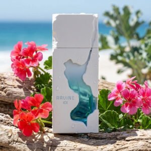 Ravine Ice by French Avenue 100ml Extrait De Parfum - Image 4