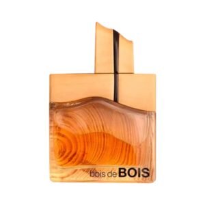 Bois De Bois by Fragrance World 100ml Eau De Parfum - Image 2