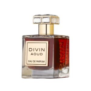 Divin Aoud by French Avenue 100ml - Image 3