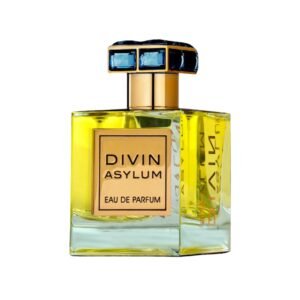 Divin Asylum by French Avenue 100ml - Image 3