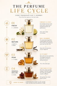 Common questions about perfume shelf life