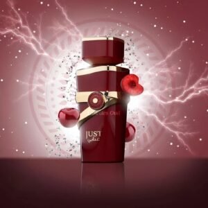 Just Anabi By by Fragrance World 100ml Eau De Parfum - Image 4