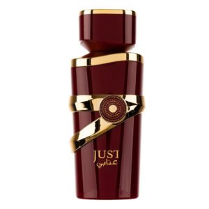 Just Anabi By by Fragrance World 100ml Eau De Parfum - Image 2