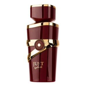 Just Anabi By by Fragrance World 100ml Eau De Parfum - Image 3