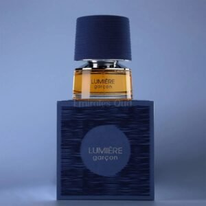 Lumiere Garcon by French Avenue 100ml Eau De Parfum