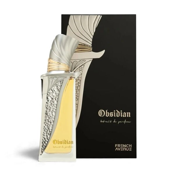 Obsidian-Perfume-100ml-EDP-French-Avenue-183496326.jpg