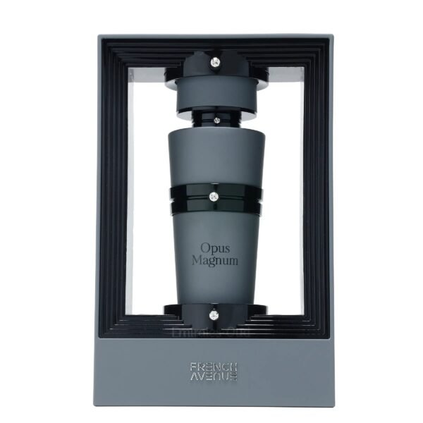 Opus-Magnum-Perfume-100ml-EDP-French-Avenue-By-Fragrance-World-163825257.jpg