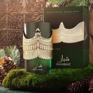 Shabaz By by Fragrance World 100ml Eau De Parfum - Image 1