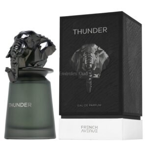 Thunder by French Avenue 100ml Eau De Parfum - Image 1