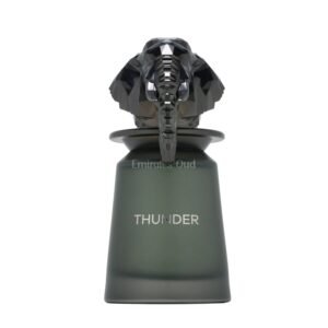 Thunder by French Avenue 100ml Eau De Parfum - Image 2