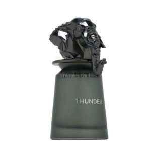 Thunder by French Avenue 100ml Eau De Parfum - Image 4