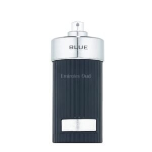 Zenith Blue by French Avenue 100ml Eau De Parfum - Image 3