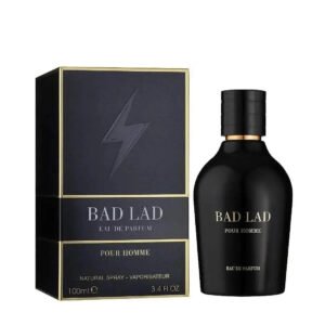 Bad Lad by Fragrance World 100ml Eau De Parfum - Image 1