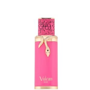 Vulcan Baie by French Avenue 100ml EDP Perfumeo