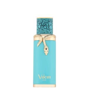 Vulcan Feu by French Avenue 100ml Eau De Parfum bottle
