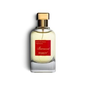 Baraccat by Brandy 100ml Eau De Parfum - Image 2