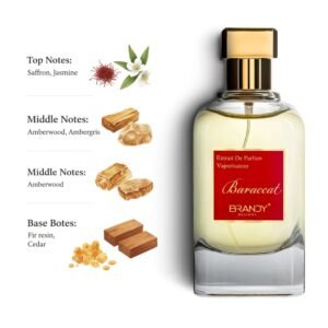 Baraccat by Brandy 100ml Eau De Parfum - Image 5