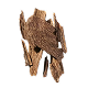Cashmere Wood