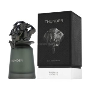 Thunder by French Avenue 100ml EDP Perfumeo
