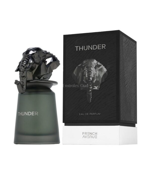 norm-10579 Thunder by French Avenue 100ml EDP Perfumeo