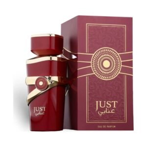 Just Anabi By by Fragrance World 100ml EDP Perfumeo