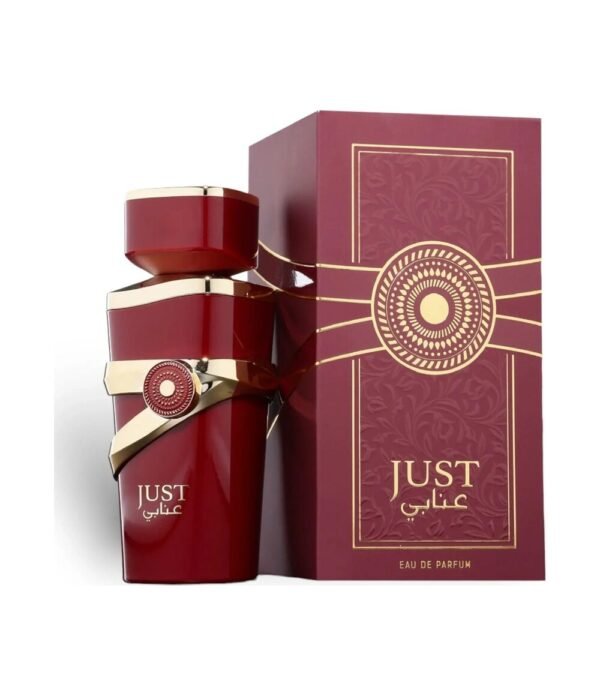 norm-12973 Just Anabi By by Fragrance World 100ml EDP Perfumeo