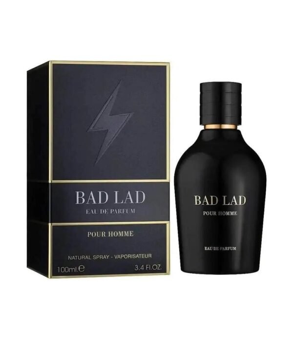 norm-14771 Bad Lad by Fragrance World 100ml EDP Perfumeo