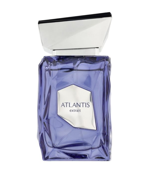norm-538 Atlantis by French Avenue 100ml Extrait Perfumeo