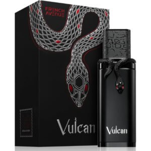Vulcan Black Friday by French Avenue 100ml EDP Perfumeo