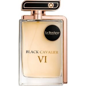 Black Cavalier VI by Le Bonheur 100ml EDP Perfumeo