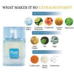 Freeze by Riiffs 100ml EDP Perfumeo